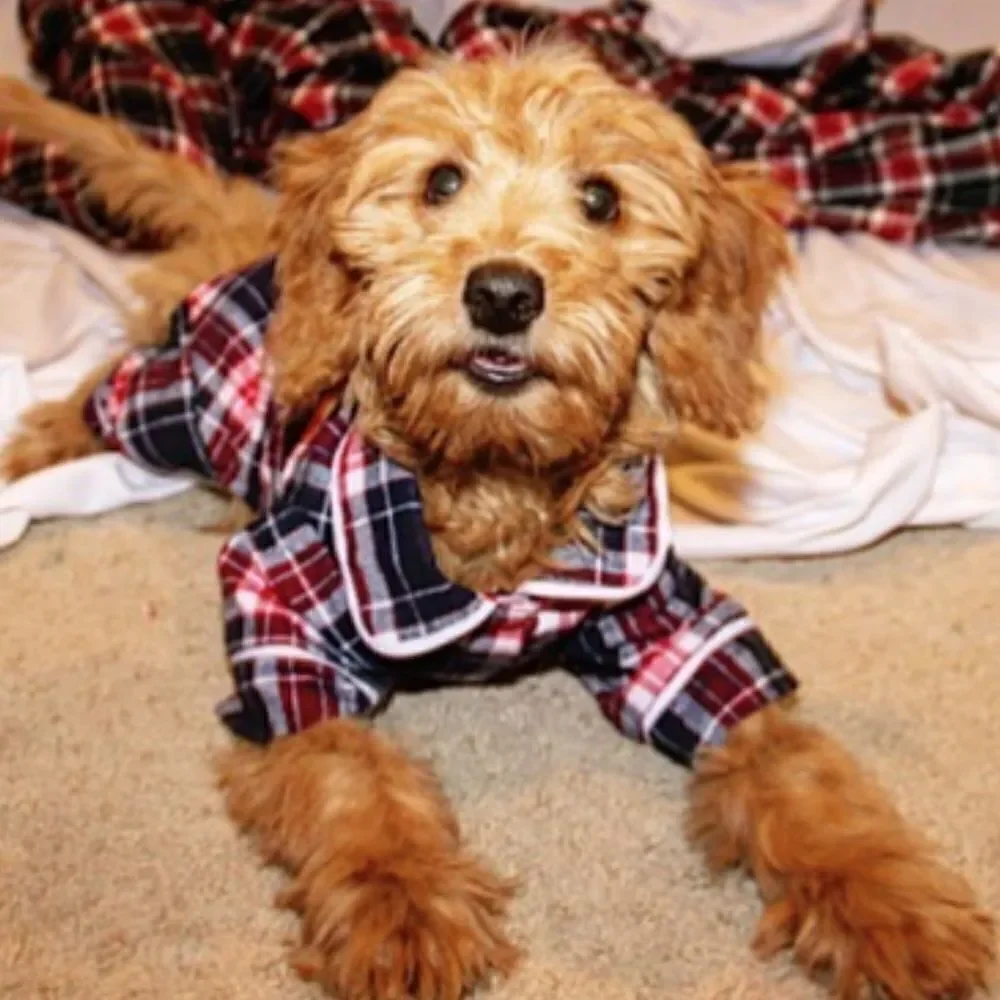 🎈Plaid Flannel Dog Pajamas
